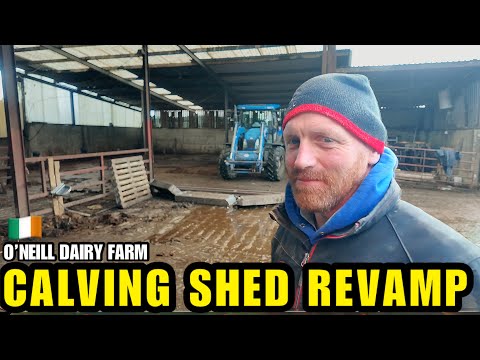 Calving Shed Revamp Begins! Beet Arrives & A New Purchase!! 🛍️