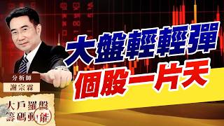 大盤輕輕彈 個股一片天｜大戶羅盤籌碼動能 ｜謝宗霖