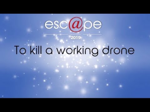 esc@pe 2019 | To kill a working drone with Lucky Nkosi