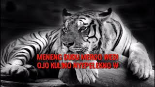 Download lagu Story WA macan putih (jangan pernah meremehkan orang lain) mp3