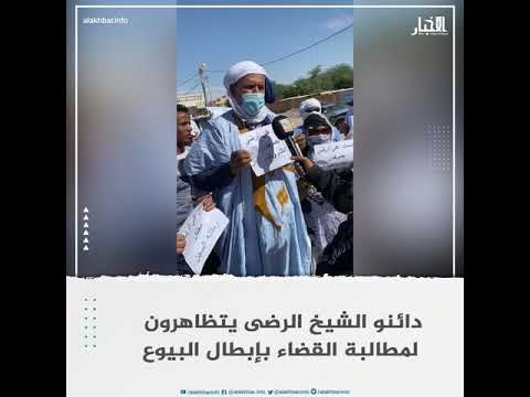 دائنو الشيخ الرضى يتظاهرون لمطالبة القضاء بإبطال البيوع