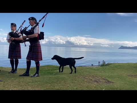 A Diamond Waltz for Waverley