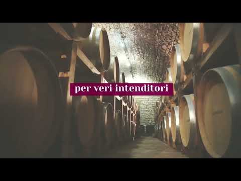 Bere bene...                                                 e con moderazione!!!