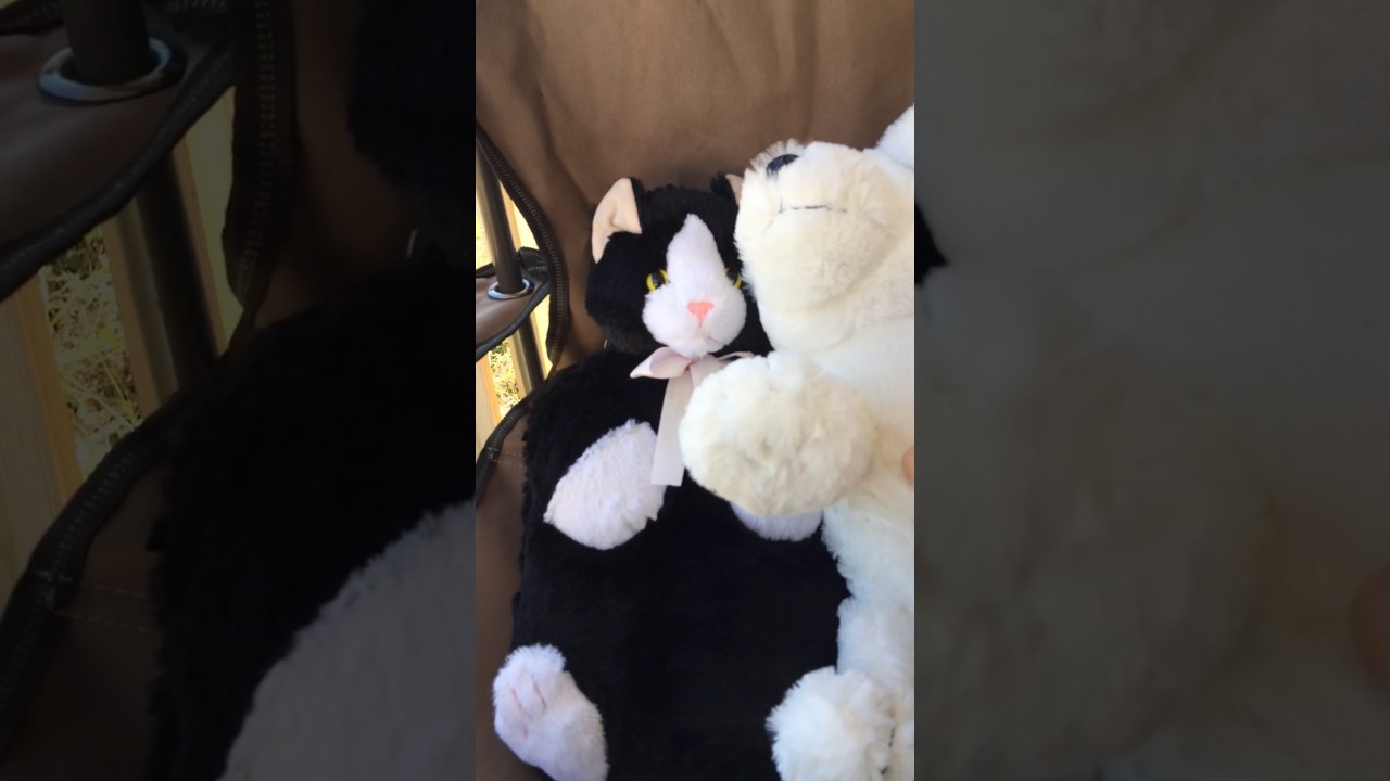 Watch video Peterpan DOG and CAT hot water bottle w/cover Now Peterpan DOG and CAT hot water bottle w/cover