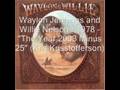 Waylon and Willie (song only) - The Year 2003 Minus 25