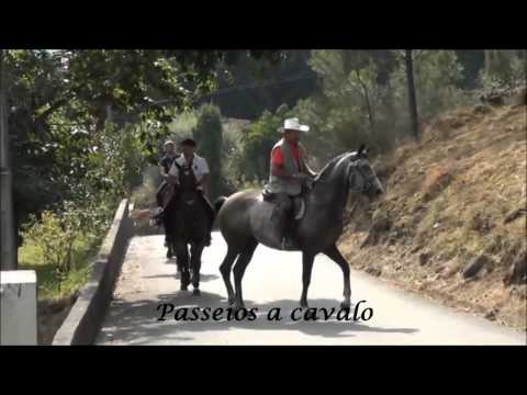 Regime Cavalaria Panque - Apresentação