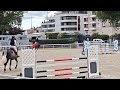 TOP Jument SF par Qlassic Bois Margot