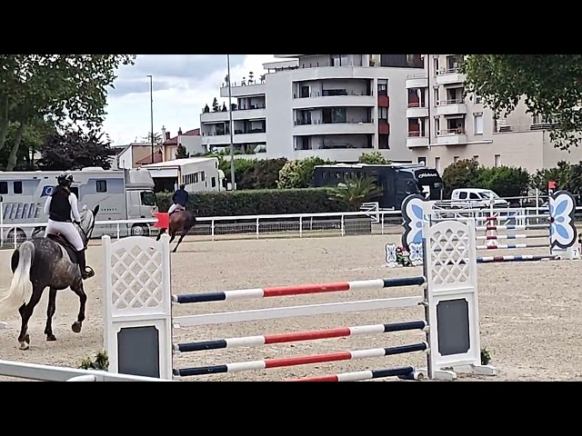 TOP Jument SF par Qlassic Bois Margot