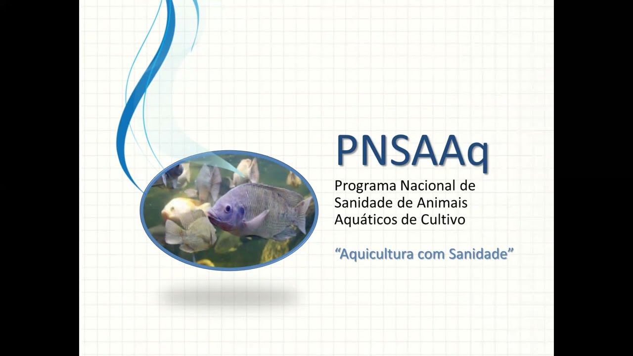 PNSAAq