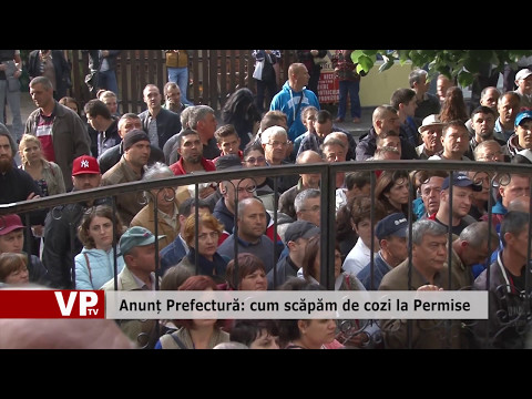 Anunț Prefectură: cum scăpăm de cozi la Permise