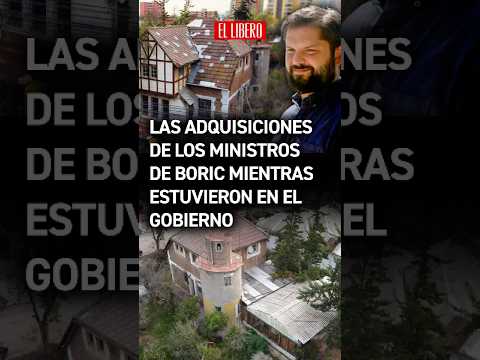 Algunas de las adquisiciones de los ministros de Boric mientras estuvieron en el gobierno