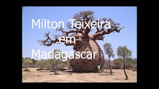 Viagem a Madagascar. crânio himano 014