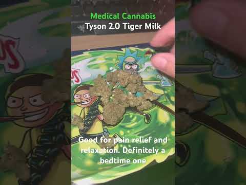 Tyson 2.0 Tiger Milk | Medical Cannabis Strain #medbud #miketyson #tyson2.0