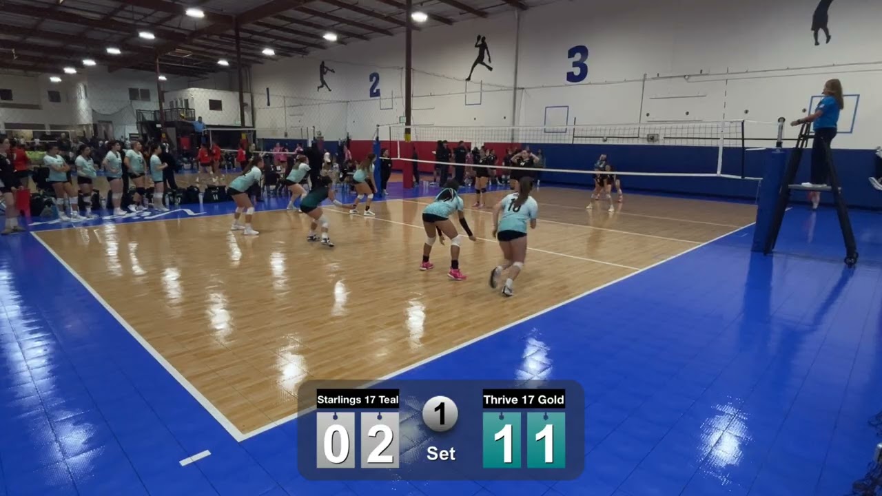 Thrive 17-Entry Event-Day 1-Starlings 17 Teal-Set 1