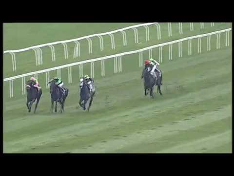 2019.10.20 Gran Premio del Jockey Club (ITA) - Donjah