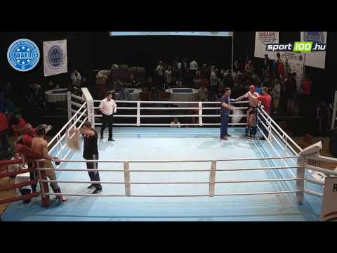 23rd Hungarian Kickboxing World Cup – 2017 Budapest, WAKO; Final Match: K1 -86kg