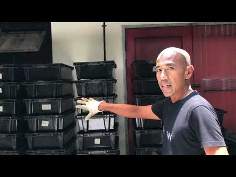 Worm Casting in 2 minutes