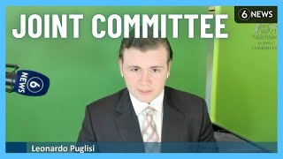 Leo Puglisi speaks to Joint Select Committee on Social Media | 6 News