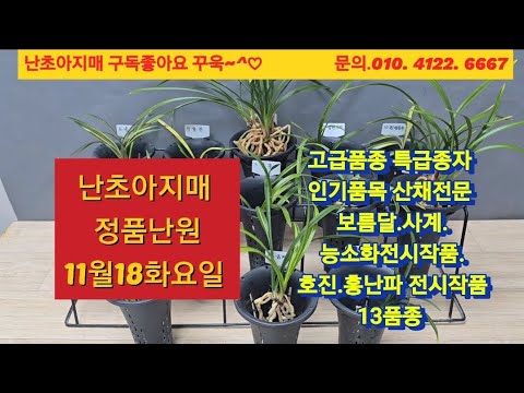 유튜브 썸네일