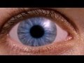 Eyeball Logo Reveal
