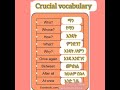 እንግሊዘኛን በአማረኛ መማር Daily Use Vocabularies In Amharic JIRTUNEWGENERATION
