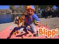 Blippi Visits Dinosaur Exhibition To Learn About Eggs And Fossils Animals For Kids