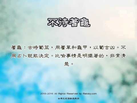 不待蓍龜