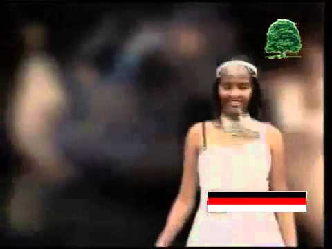Shumat Iddoosaa - Faaya Orommiyaa (Oromo-Oromia)