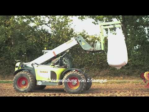 Saaten-Union: So gelingt die Aussaat von Ackerbohnen und Erbsen