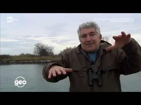 GEO: Il Cammino Celeste - Servizio RAI3 2018