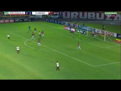 Portuguesa RJ 1 x 3 Flamengo - Melhores Momentos - Taça Rio 2019