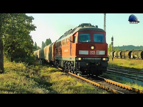 BR232 Ludmilla 65-1014-8 cu Mecanic Grozav/with Great Engineer in Oradea Est Triaj 01 September 2016