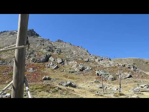 Embedded YouTube video