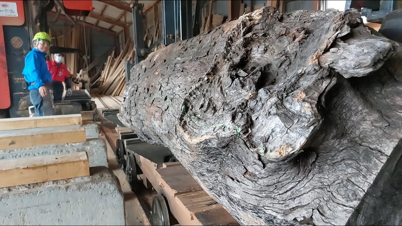 #119【製材】 出た！！幻の“ピンクタイガー”！！！　「神護木（カゴノキ）」　The mysterious "Pink Tiger" has finally appeared!