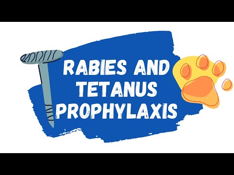 Rabies and Tetanus Prophylaxis EXPLAINED | Immune globulin and vaccines