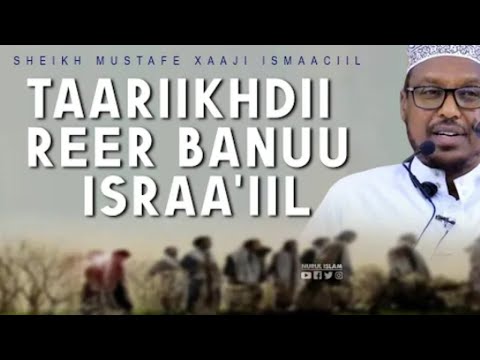 Reer binu israaiil | SHİİKH MUSTAFE