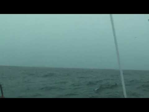 First Sighting of Parents Plane