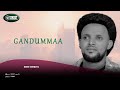 New Oromo Music Abdii Esmaaʼil Gandummaa 2026
