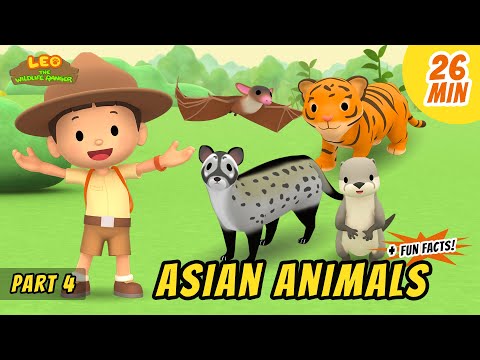 Witness21 Editor  2020 11 19