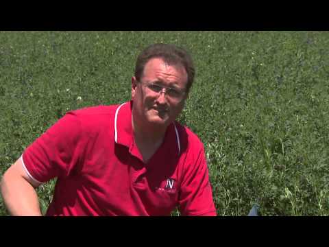 Pocket Gopher Control