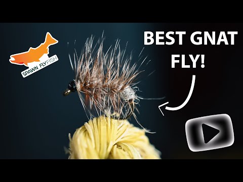 Adams Griffith's Gnat- Fly Tying Tutorial