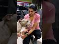 Actress Tanya Ravichandran Hot Tanya Cinema Actress Reels Shorts Shortsfeed Hot Cute