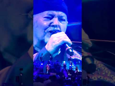 concerto Vasco Rossi ANCONA 2022
