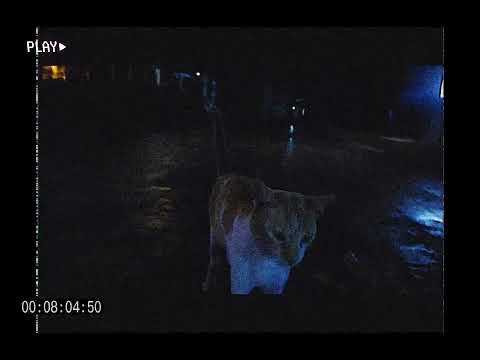 Dynaztimes - GNP (EP.10)