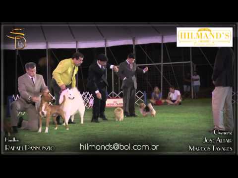 TOKIE THRILL SEEKER   #1 Grupo   BKC   Abril 2015