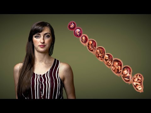 Late-Term Abortion Facts and Falsehoods