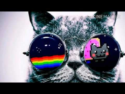 Dirty Days1- rikko live