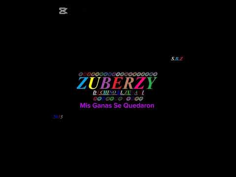 Mis Ganas Se Quedaron - Salsa Baúl (Zuberzy)
