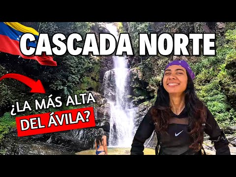 In search of the highest waterfall in El Ávila National Park - Cascada NORTE #venezuela