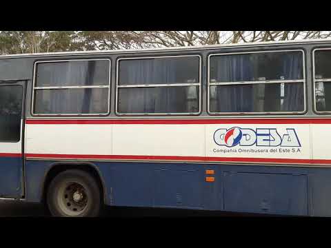 Exterior | CODESA 80 - Caio Vitória FE Mercedes-Benz OH1315